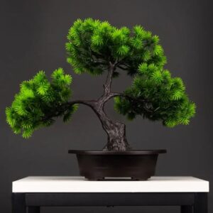 cây bonsai mini